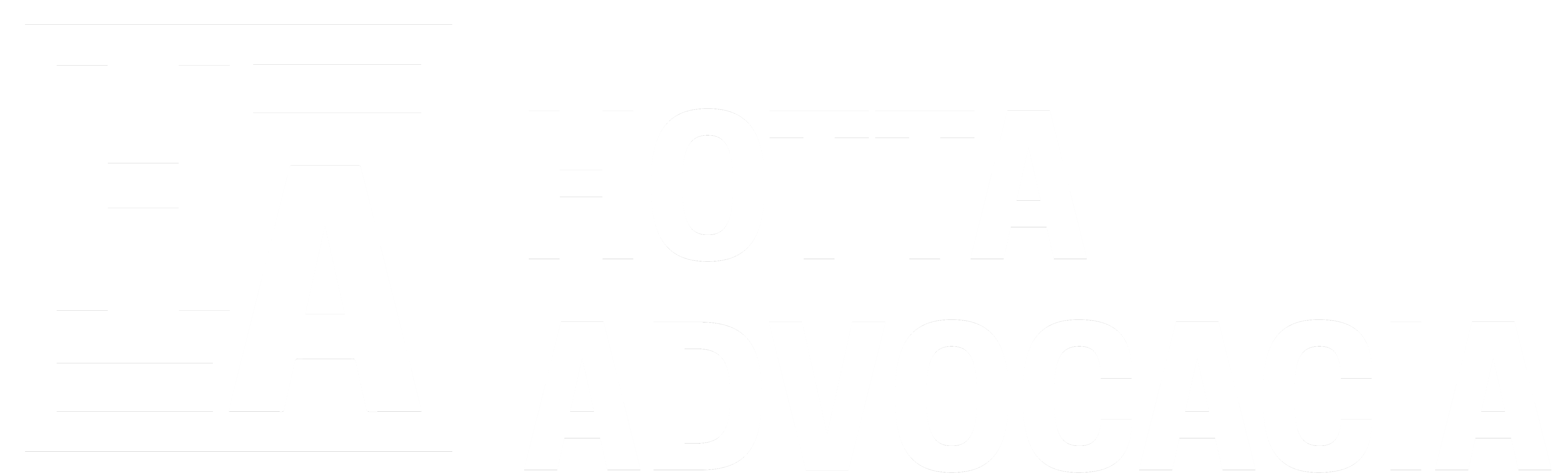 Hotta Advocacia